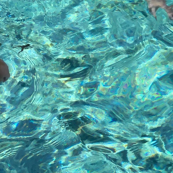 Meet your Posher, Sara - Picture 1 of 1